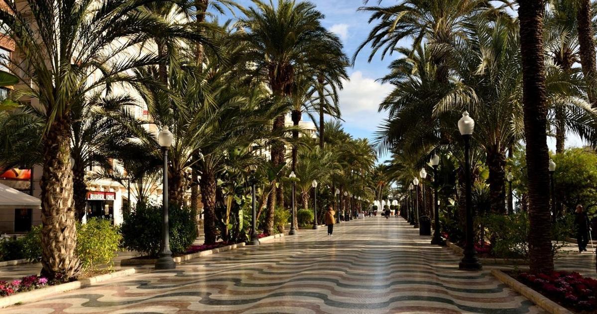 35-3- Комната В Квартире Для Семьи От 1 До 4 Человек В Центре Аликанте アリカンテ エクステリア 写真